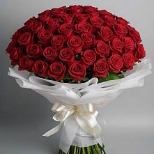 Букет 101 Красная роза Блэк Мэджик в Винсадах