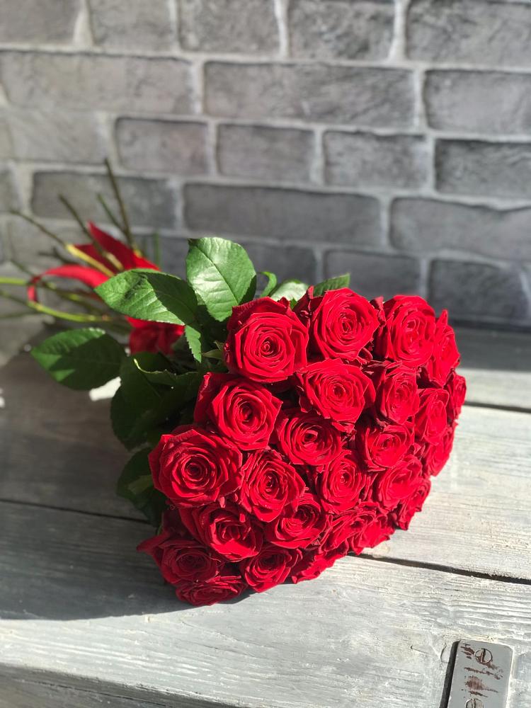 Букет Красные розы Фридом в Винсадах
