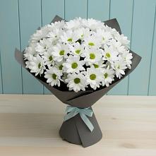 Букет цветов из:  Хризантемы #REPLACE_PRED# Винсадах