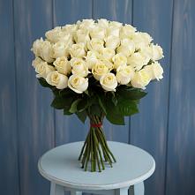 Букет 51 Белая роза Эдлесс Лав #REPLACE_PRED# Винсадах