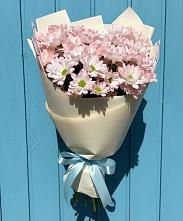 Букет цветов из:  Хризантемы в Винсадах