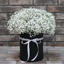 Цветочная композиция из Гипсофила в шляпной коробке #REPLACE_PRED# Винсадах
