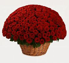 Премиум букет из: Розы в Винсадах