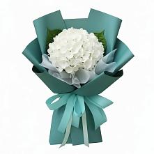 Букет цветов из:  Гортензия в Винсадах